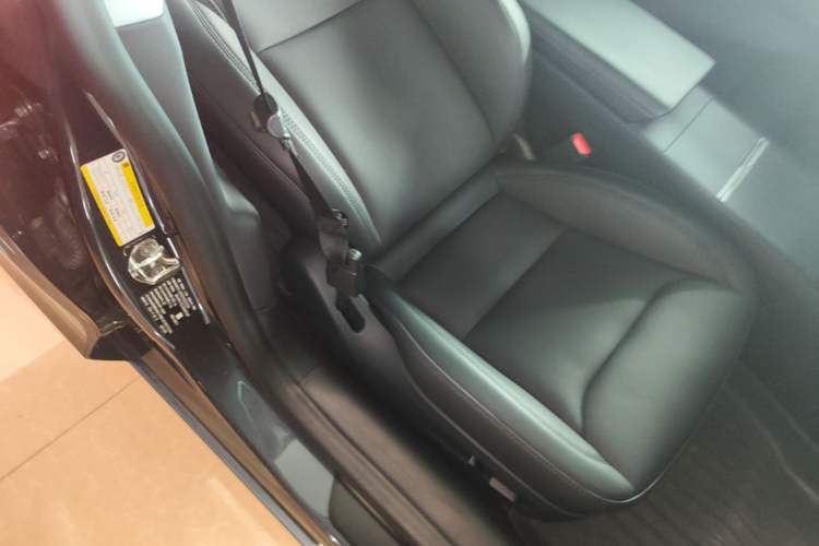 Used Tesla Model 3 2023 Rear-Wheel-Drive Version Right Front Seat