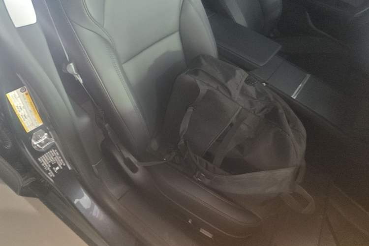 Used Tesla Model 3 2023 Rear-Wheel-Drive Version Right Front Seat