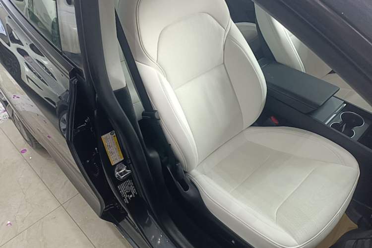Used Tesla Model 3 2023 Long-Range All-Wheel-Drive Version Right Front Seat