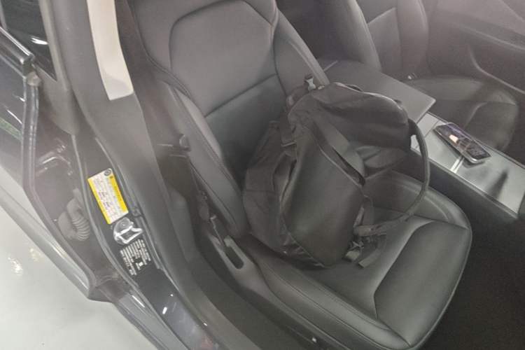 Used Tesla Model 3 2023 Rear-Wheel-Drive Version Right Front Seat