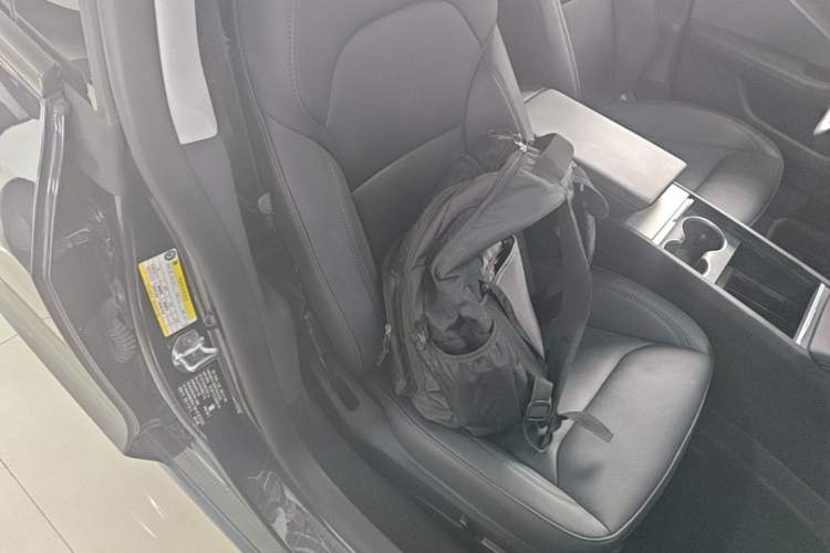 Used Tesla Model 3 2023 Rear-Wheel-Drive Version Right Front Seat