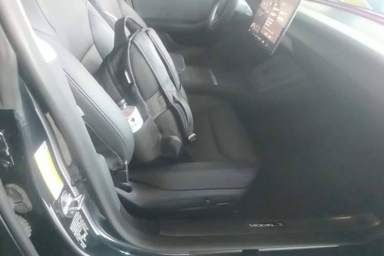 Used Tesla Model 3 2023 Long-Range All-Wheel-Drive Version Right Front Seat