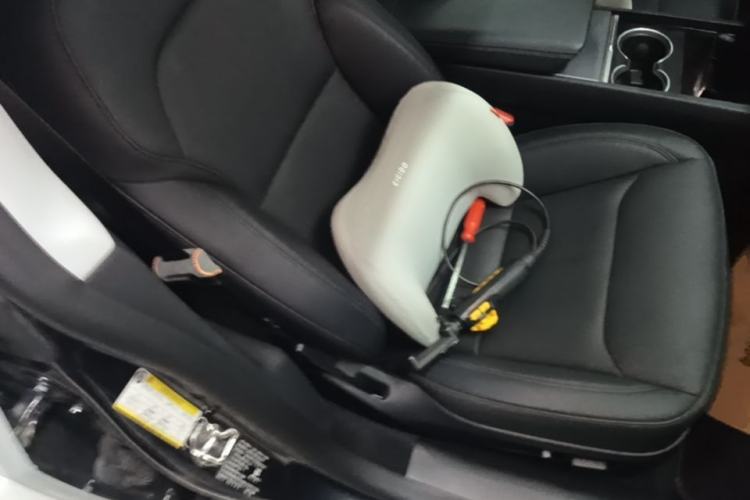 Used Tesla Model 3 2023 Rear-Wheel-Drive Version Right Front Seat