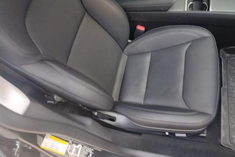 Used Tesla Model 3 2023 Rear-Wheel-Drive Version Right Front Seat