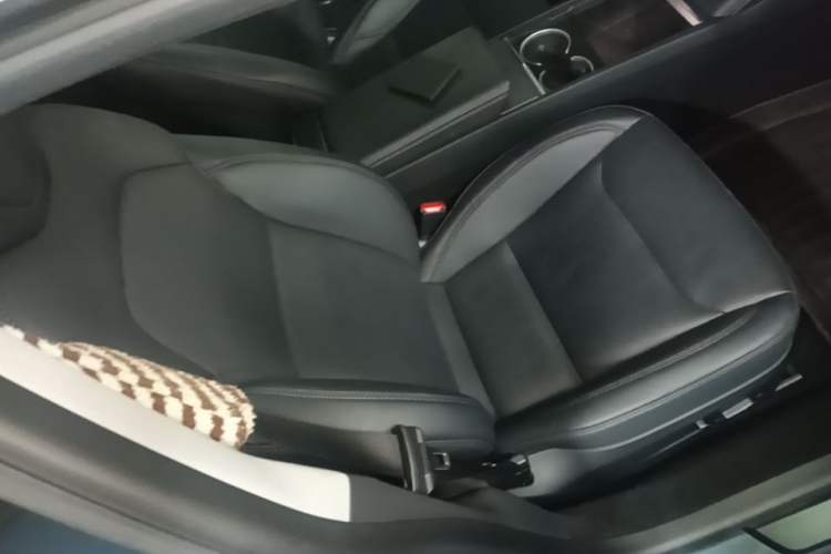 Used Tesla Model 3 2023 Rear-Wheel-Drive Version Right Front Seat
