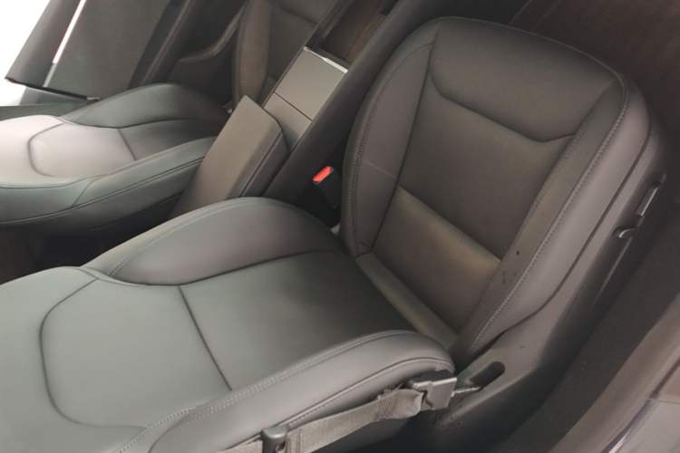 Used Tesla Model 3 2023 Rear-Wheel-Drive Version Right Front Seat