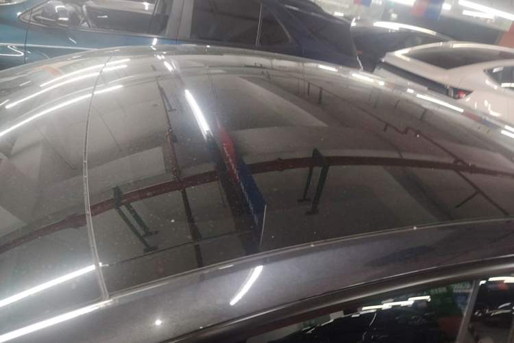 Used Tesla Model 3 2023 Rear-Wheel-Drive Version Roof