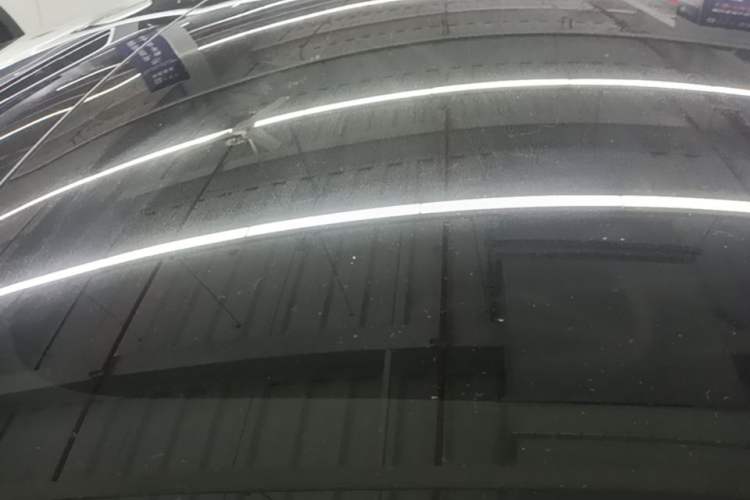Used Tesla Model 3 2023 Rear-Wheel-Drive Version Roof