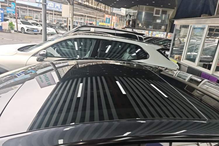 Used Tesla Model 3 2023 Rear-Wheel-Drive Version Roof