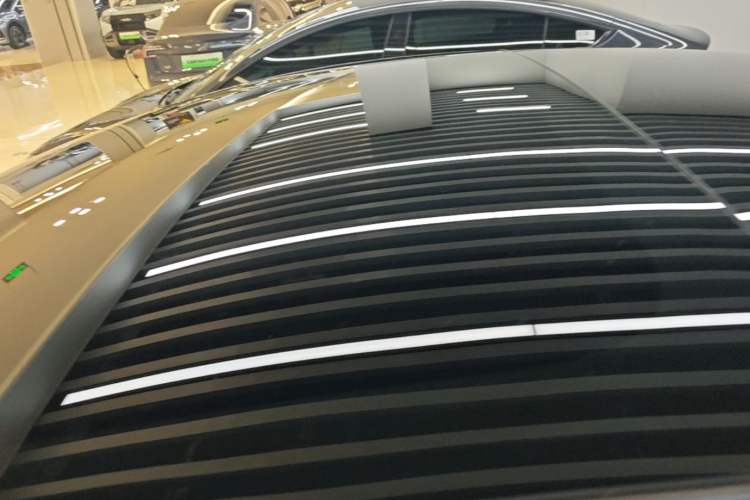 Used Tesla Model 3 2023 Rear-Wheel-Drive Version Roof