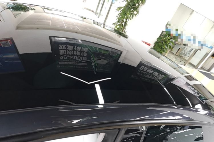 Used Tesla Model 3 2023 Rear-Wheel-Drive Version Roof