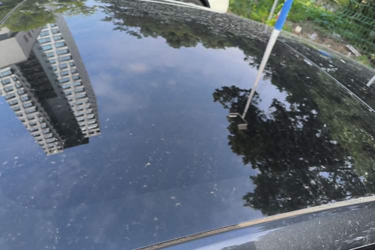 Used Tesla Model 3 2023 Rear-Wheel-Drive Version Roof