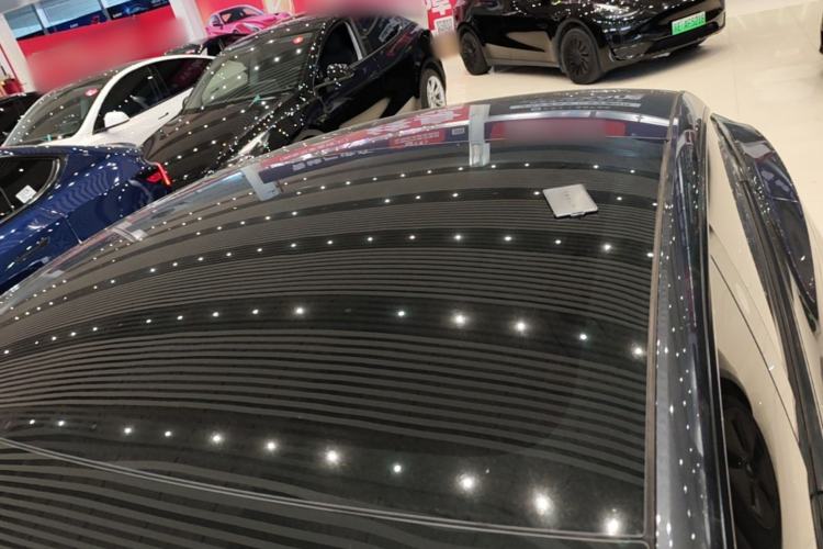 Used Tesla Model 3 2023 Rear-Wheel-Drive Version Roof