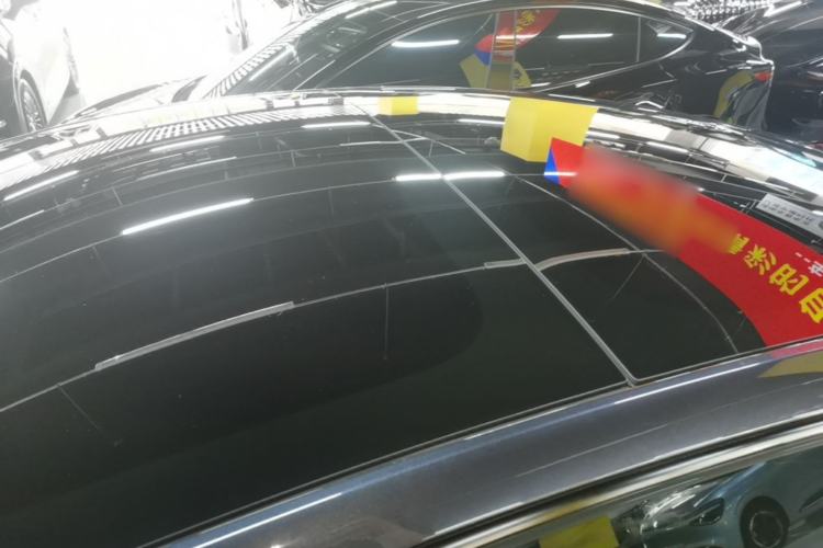 Used Tesla Model 3 2023 Rear-Wheel-Drive Version Roof