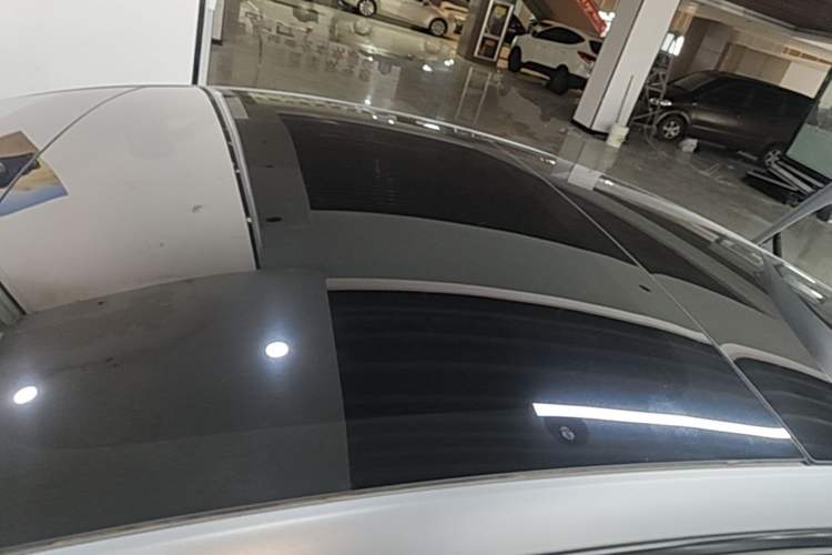 Used Tesla Model 3 2023 Rear-Wheel-Drive Version Roof