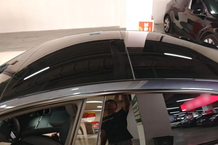 Used Tesla Model 3 2023 Rear-Wheel-Drive Version Roof
