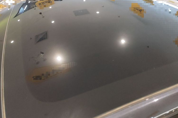 Used Tesla Model 3 2023 Rear-Wheel-Drive Version Roof