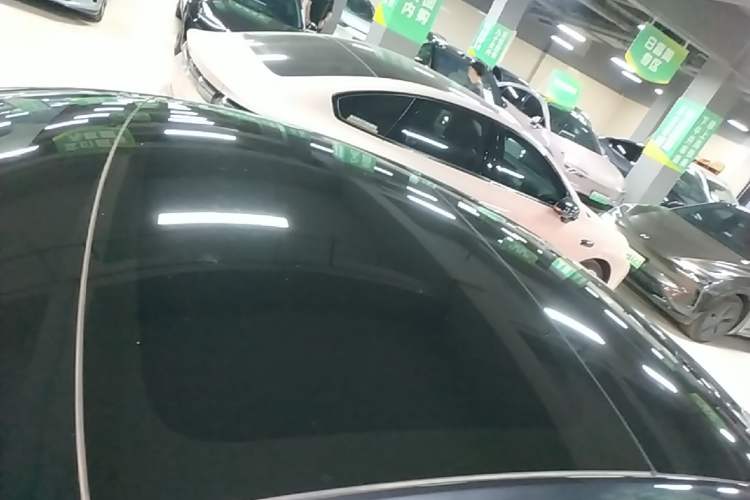 Used Tesla Model 3 2023 Rear-Wheel-Drive Version Roof