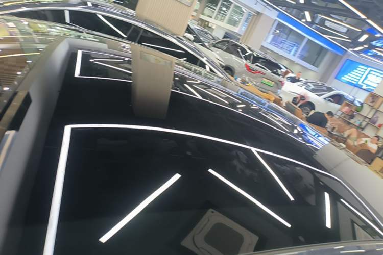 Used Tesla Model 3 2023 Rear-Wheel-Drive Version Roof