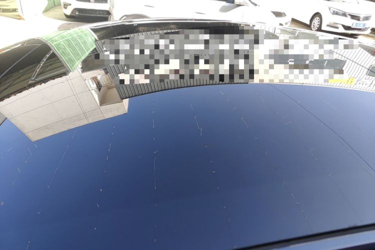 Used Tesla Model 3 2023 Rear-Wheel-Drive Version Roof