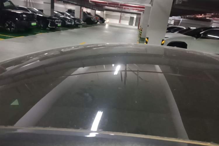 Used Tesla Model 3 2023 Rear-Wheel-Drive Version Roof