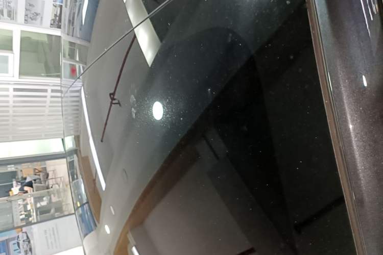 Used Tesla Model 3 2023 Rear-Wheel-Drive Version Roof