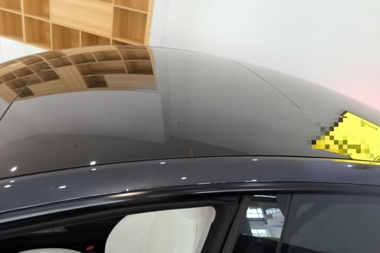 Used Tesla Model 3 2023 Rear-Wheel-Drive Version Roof