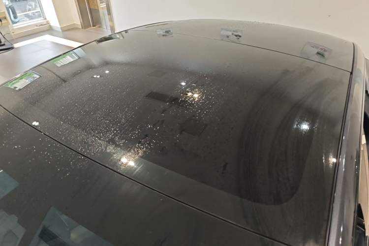 Used Tesla Model 3 2023 Rear-Wheel-Drive Version Roof