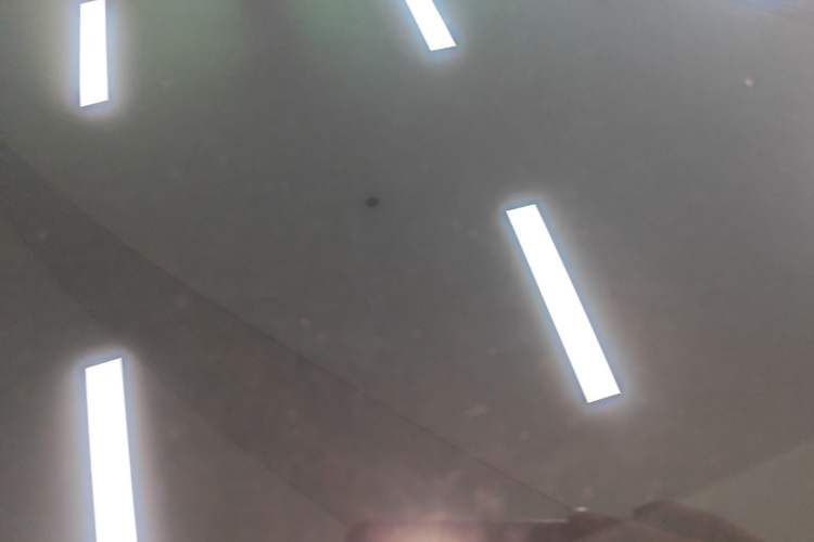 Used Tesla Model 3 2023 Rear-Wheel-Drive Version Roof