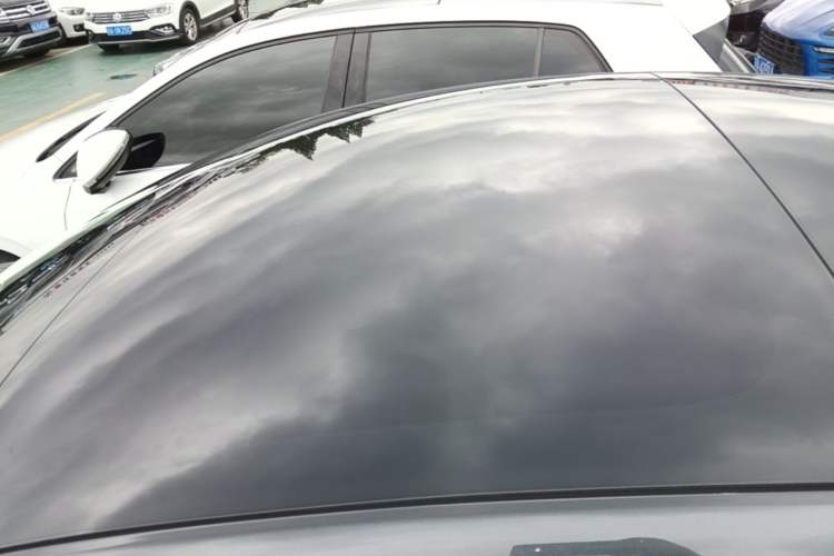 Used Tesla Model 3 2023 Rear-Wheel-Drive Version Roof