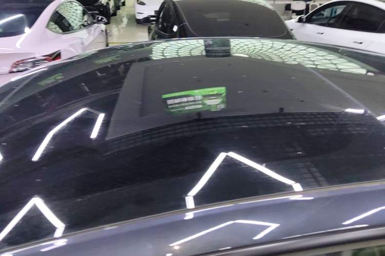 Used Tesla Model 3 2023 Rear-Wheel-Drive Version Roof