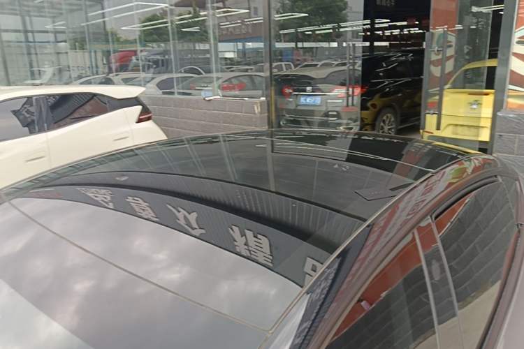 Used Tesla Model 3 2023 Rear-Wheel-Drive Version Roof