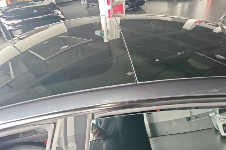 Used Tesla Model 3 2023 Rear-Wheel-Drive Version Roof