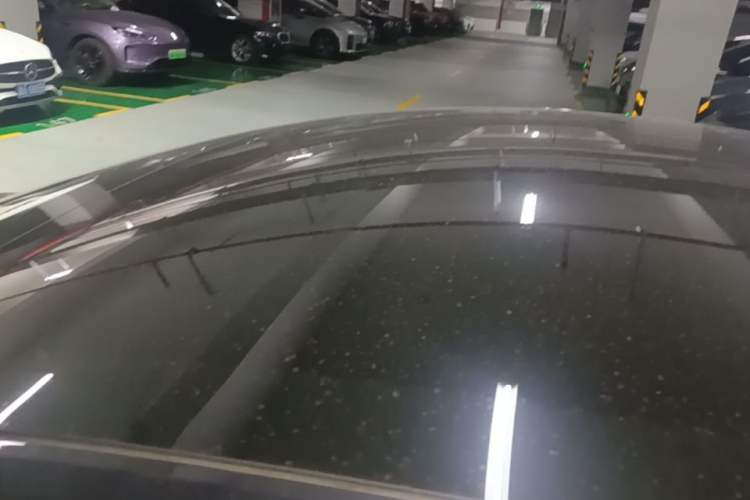 Used Tesla Model 3 2023 Rear-Wheel-Drive Version Roof