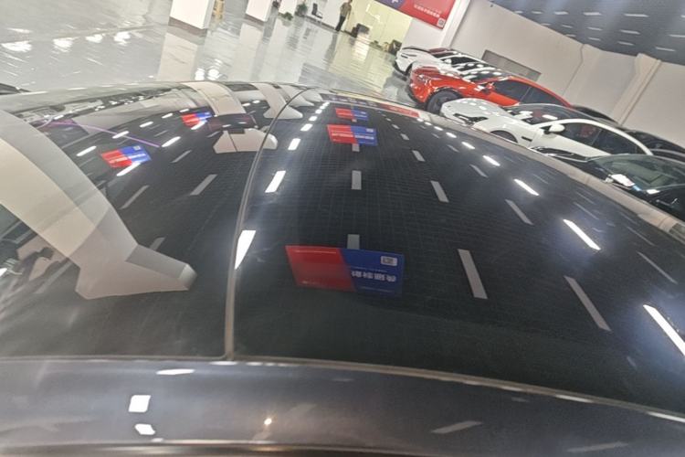 Used Tesla Model 3 2023 Rear-Wheel-Drive Version Roof