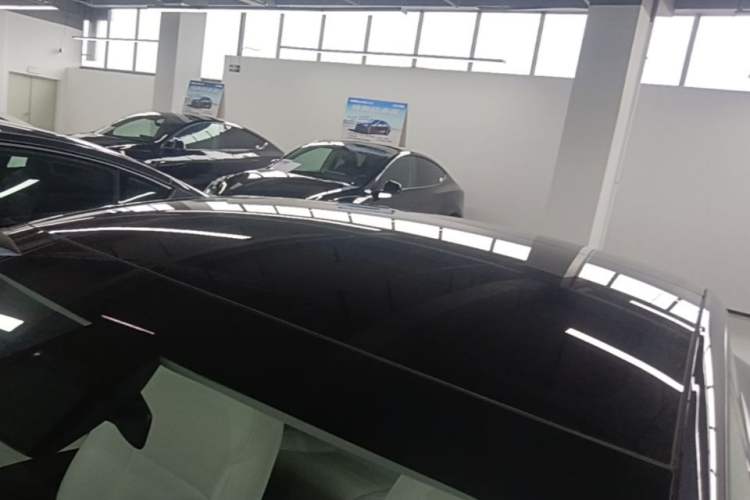 Used Tesla Model 3 2023 Rear-Wheel-Drive Version Roof