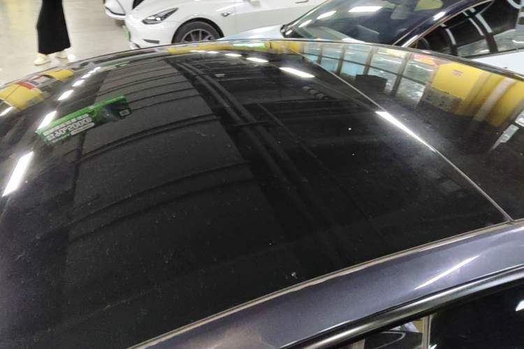 Used Tesla Model 3 2023 Rear-Wheel-Drive Version Roof