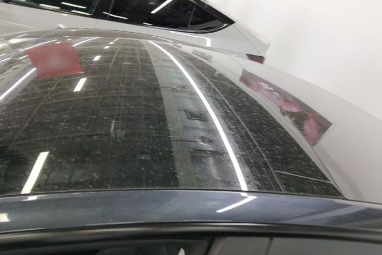 Used Tesla Model 3 2023 Rear-Wheel-Drive Version Roof
