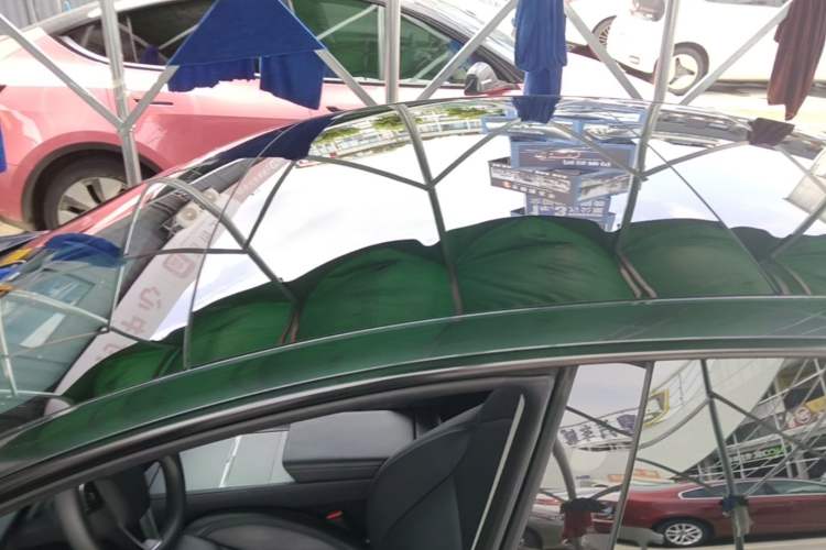 Used Tesla Model 3 2023 Rear-Wheel-Drive Version Roof