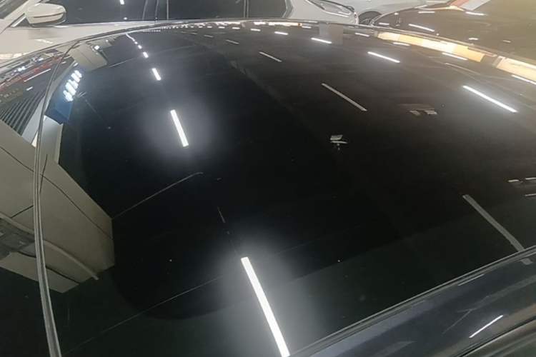 Used Tesla Model 3 2023 Rear-Wheel-Drive Version Roof