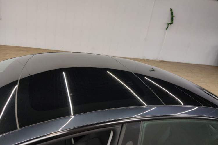 Used Tesla Model 3 2023 Rear-Wheel-Drive Version Roof