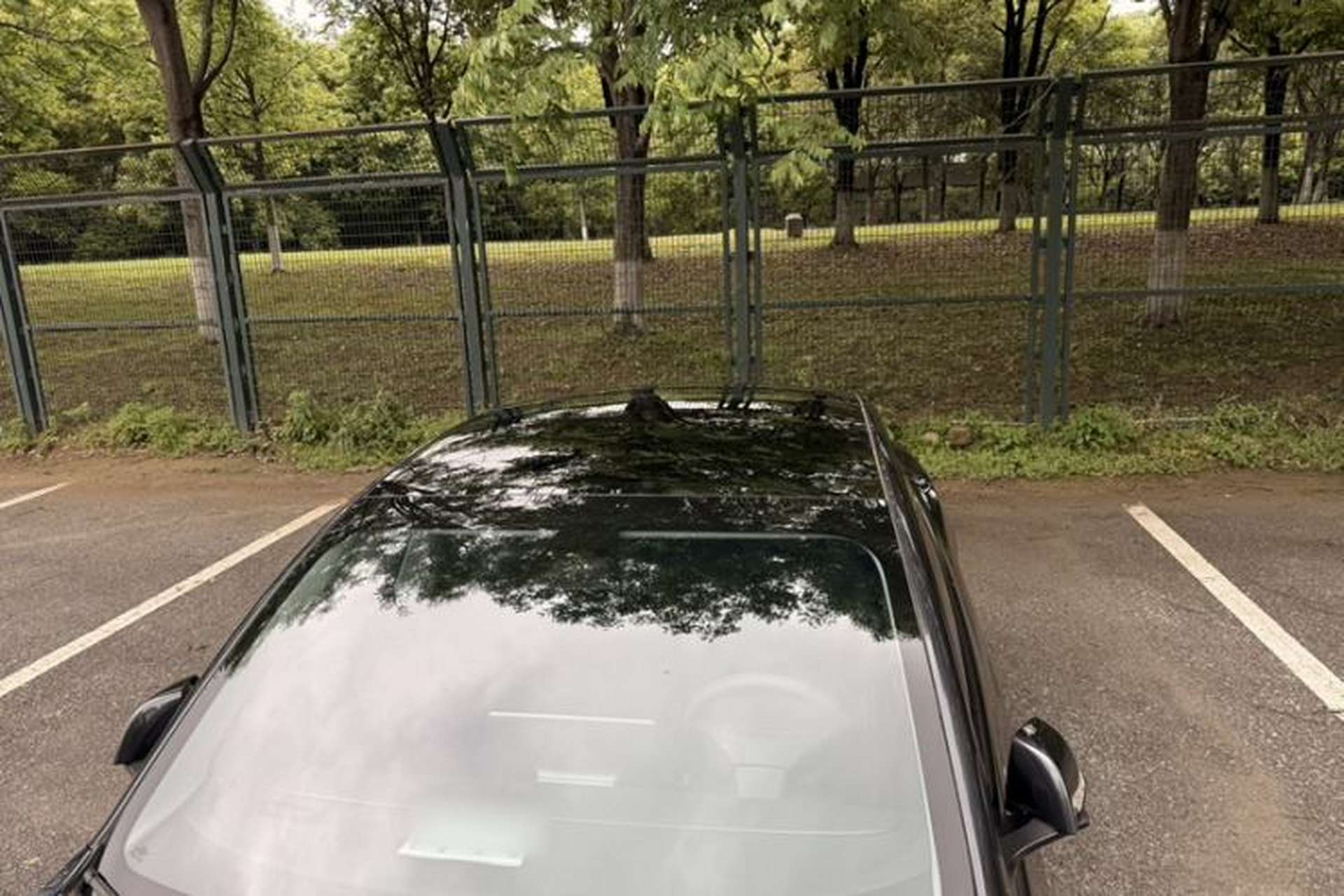Used Tesla Model 3 2023 Rear-Wheel-Drive Version Roof