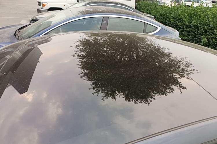 Used Tesla Model 3 2023 Rear-Wheel-Drive Version Roof