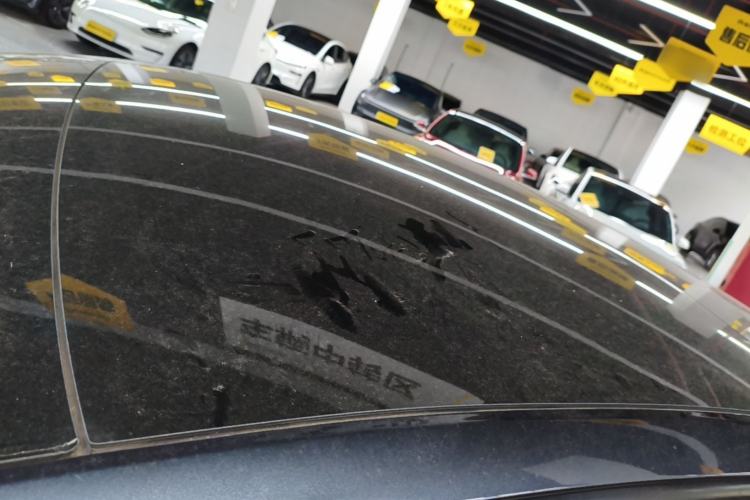 Used Tesla Model 3 2023 Rear-Wheel-Drive Version Roof