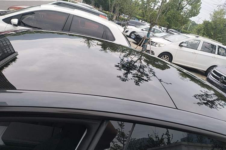 Used Tesla Model 3 2023 Rear-Wheel-Drive Version Roof