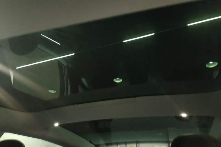 Used Tesla Model 3 2023 Rear-Wheel-Drive Version Roof