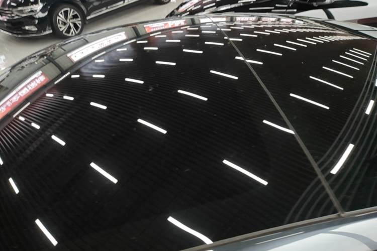 Used Tesla Model 3 2023 Rear-Wheel-Drive Version Roof