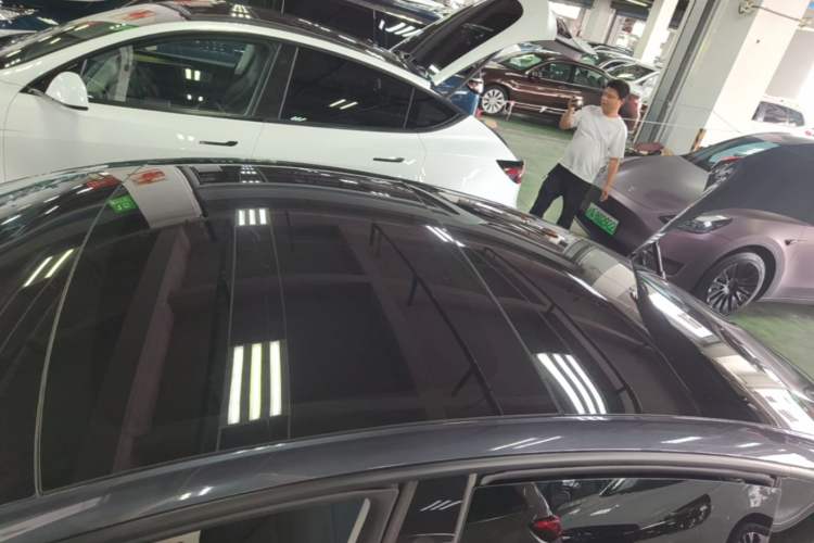 Used Tesla Model 3 2023 Rear-Wheel-Drive Version Roof