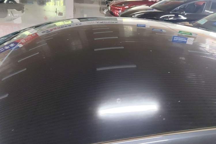 Used Tesla Model 3 2023 Rear-Wheel-Drive Version Roof