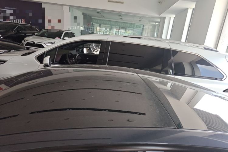 Used Tesla Model 3 2023 Rear-Wheel-Drive Version Roof